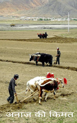 अनाज की कीमत