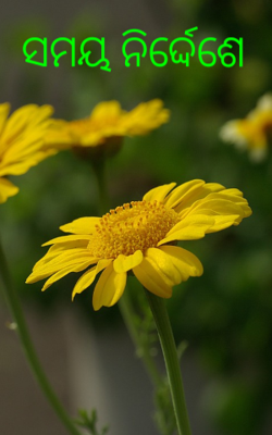 ସମୟ ନିର୍ଦ୍ଦେଶେ