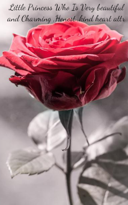 Little Princess Who Is Very beautiful and Charming ,Honest ,kind heart attr