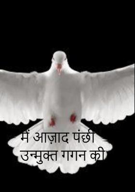 मैं आज़ाद पंछी उन्मुक्त गगन की
