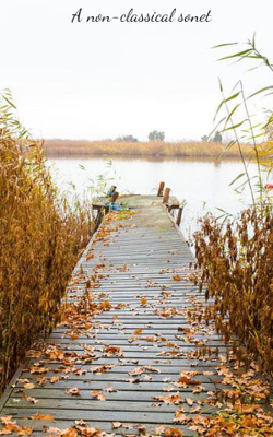 A Non-classical Sonnet