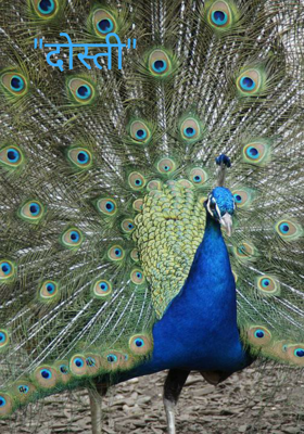 "दोस्ती"