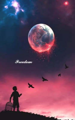 𝓕𝓻𝓮𝓮𝓭𝓸𝓶