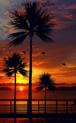 સંધ્યા કાળે સૂર્યોદય