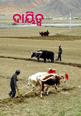 ଦାୟିତ୍ୱ