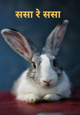 ससा रे ससा