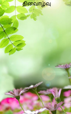 தினவாழ்வு