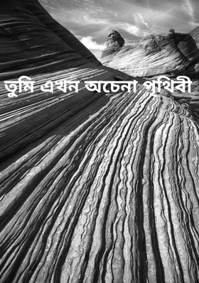 তুমি এখন অচেনা পৃথিবী
