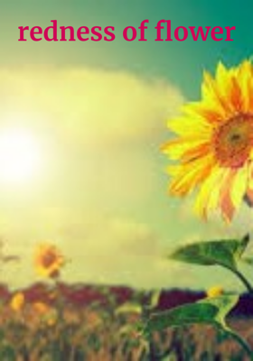 मौसम ठंडी का।