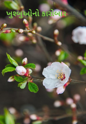 ખુશ્બુઓનો કારોબાર