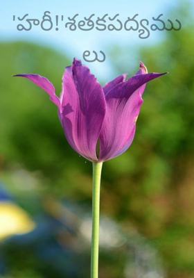 'హరీ!'శతకపద్యములు