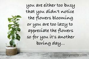 you are either too busy
that you didn't notice 
the flowers blooming
or you are too lazy to 
appreciate the flowers
so for you it's another
boring day...