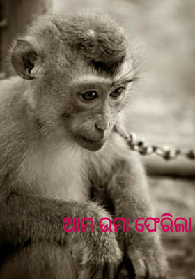 ଆମ ଉମା ଫେରିଲା ।