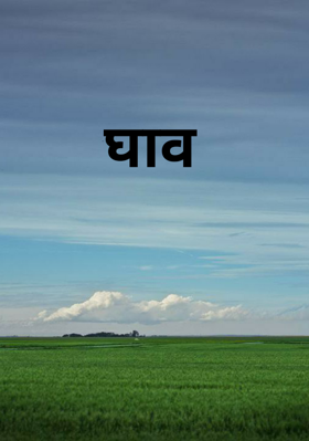 ସାବିତ୍ରୀ ଓଷା