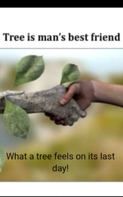 What A Tree Feels On Its Last Day!