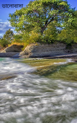 ভালোবাসা