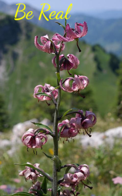 Be Real