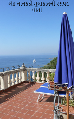 એક નાનકડી મુલાકાતની રસપ્રદ વાર્તા