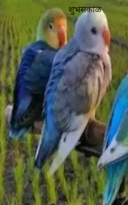 शुभसकाळ