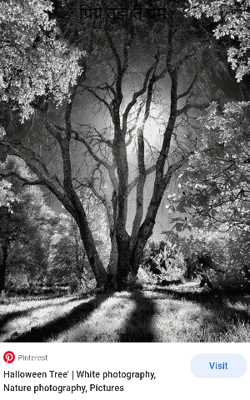 प्रिये तुझ ते प्रेम