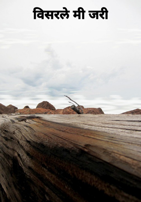 विसरले मी जरी