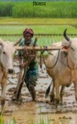 किसान