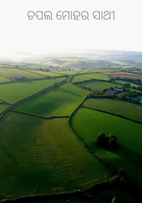 ଚପଲ ମୋହର ସାଥୀ