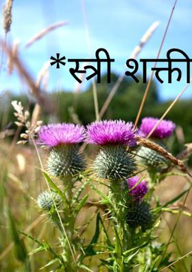 *स्त्री शक्ती*