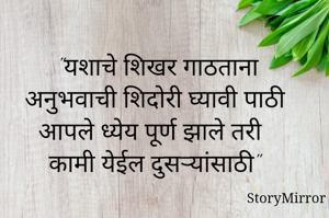 

"यशाचे शिखर गाठताना
अनुभवाची शिदोरी घ्यावी पाठी
आपले ध्येय पूर्ण झाले तरी
कामी येईल दुसर्‍यांसाठी" 