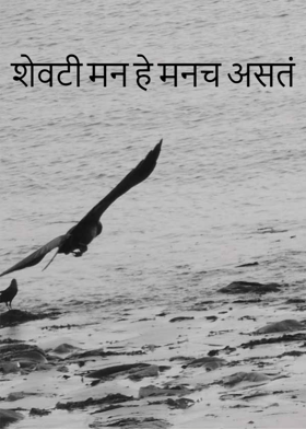 शेवटी मन हे मनच असतं