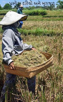 પ્રસ્વેદ, દરિયો અને મૃગજળ