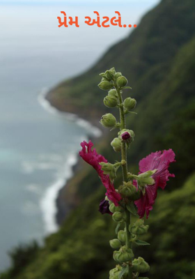 પ્રેમ એટલે