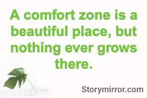 A comfort zone is a beautiful place, but nothing ever grows there.
