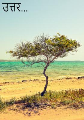उत्तर...
