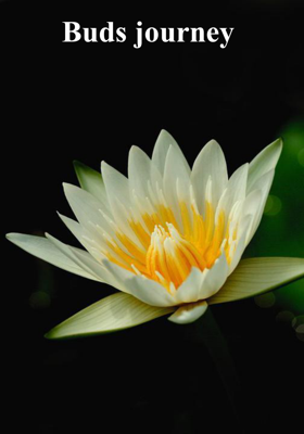 Buds Journey
