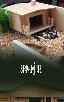 કાચબાનું ઘર