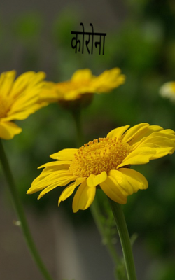 कोरोना