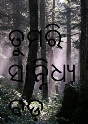 ତୁମରି ସାନ୍ନିଧ୍ୟ ବଡ଼
