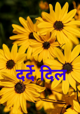 दर्दे दिल