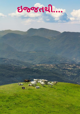 ઇજ્જતથી