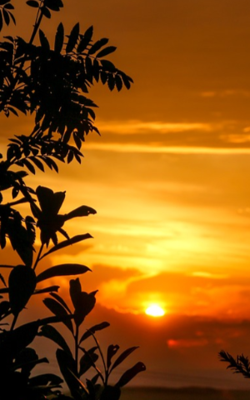 अनुभूति