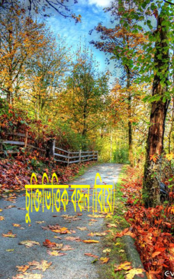 চুক্তিভিত্তিক বন্ধন (বিয়ে)