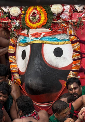 ବାହୁଡା଼ 