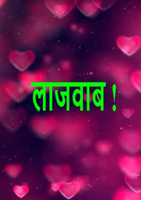 लाजवाब !