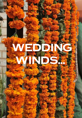 Wedding Winds...