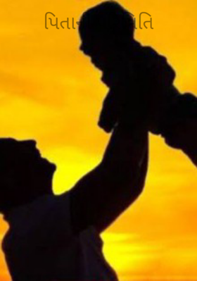 પિતાની પરિમિતિ