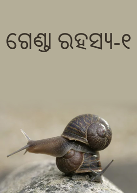 ଗେଣ୍ତା ରହସ୍ୟ‐୧