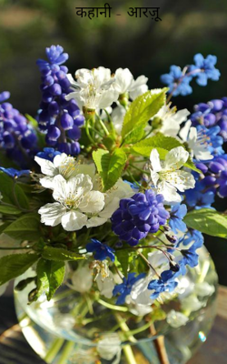 आरज़ू भाग-1