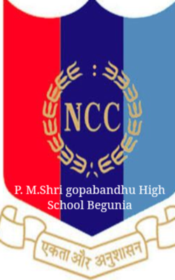 P. M.Shri gopabandhu High School Begunia