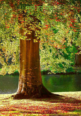 मुझें हर पल